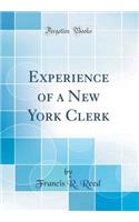 Experience of a New York Clerk (Classic Reprint)
