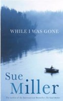 While I Was Gone
