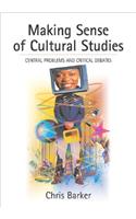 Making Sense of Cultural Studies