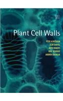 Plant Cell Walls
