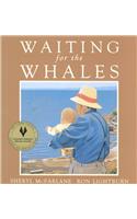 Waiting for the Whales