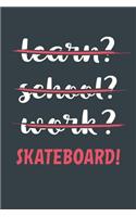 Learn? School? Work? Skateboard!
