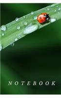 Notebook: Lady bug - (Journal, Diary) - 100 lined pages - 6x8