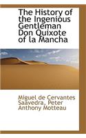 The Ingenious Gentleman Don Quixote of La Mancha, Volume III or IV