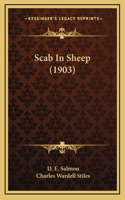 Scab In Sheep (1903)