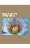 Epidendroideae Introduction