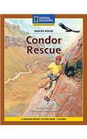Content-Based Chapter Books Fiction (Science: Wildlife Rescue): Condor Rescue