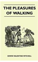 The Pleasures of Walking