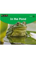 In the Pond Leveled Text: (Early Rising Readers (En))