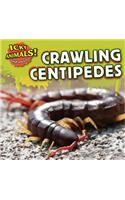 Crawling Centipedes