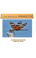 World of Insects