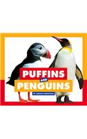 Puffins and Penguins