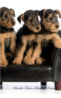 Airedale Terrier February Notebook Airedale Terrier Record, Log, Diary, Special Memories, To Do List, Academic Notepad, Scrapbook & More