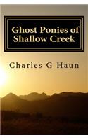 Ghost Ponies of Shallow Creek
