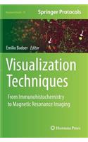 Visualization Techniques