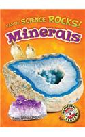 Minerals: (Earth Science Rocks!)