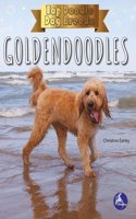 Goldendoodles: (Top Doodle Dog Breeds)
