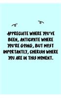 Appreciate where you've been, anticipate where you're going, but most importantly, cherish where you are in this moment. Journal