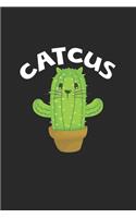 Catcus