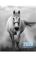2020 Monthly Planner