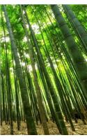Bamboo Notebook