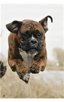 Boxer Dog Racing Journal