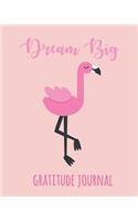 Gratitude Journal: Cute Flamingo Daily Gratitude Journal for Kids to Write and Draw In. for Confidence, Inspiration and Happiness (Fun Diary, Dream Big)