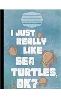 I Just Really Like Sea Turtles OK? Cartoon Composition Notebook - 5x5 Quad Rule