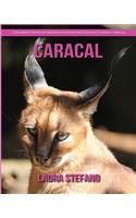 Caracal