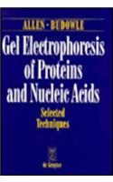 Gel Electrophoresis of Proteins and Nucleic Acids