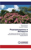 Rododendrony V Belarusi