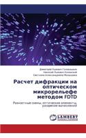 Raschet Difraktsii Na Opticheskom Mikrorel'efe Metodom Fdtd