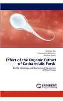 Effect of the Organic Extract of Catha edulis Forsk