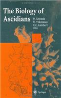 Biology of Ascidians