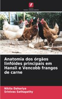 Anatomia dos órgãos linfóides principais em Hansli e Vencobb frangos de carne