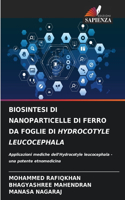 Biosintesi Di Nanoparticelle Di Ferro Da Foglie Di Hydrocotyle Leucocephala