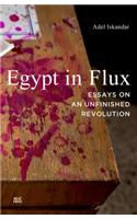 Egypt in Flux