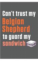 Can't trust my Belgian Shepherd to guard my sandwich: For Belgian Shepherd Dog Breed Fans