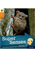 Oxford Reading Tree Explore with Biff, Chip and Kipper: Oxford Level 6: Super Senses