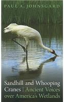 Sandhill and Whooping Cranes