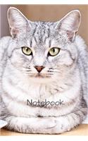 Notebook: 6" X 9" 150 page college lined soft covered journal, notebook, diary with " gray white kitty cat " on a matte cover