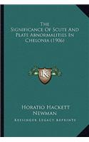 Significance Of Scute And Plate Abnormalities In Chelonia (1906)