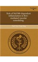 Role of Myd88-Dependent Inflammation in Flow-Mediated Vascular Remodeling.