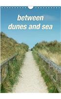 Between Dunes and Sea 2017