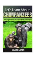 Chimpanzees: Amazing Pictures and Facts about Chimpanzees