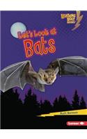 Let's Look at Bats