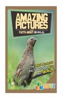 Amazing Pictures and Facts about Quails: The Most Amazing Fact Book for Kids about Quails