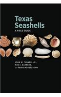 Texas Seashells