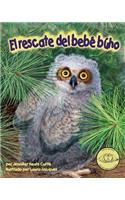 El Rescate del Bebé Búho (Baby Owl's Rescue)