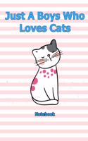 Just A Boys Who Loves Cats: Notebook 6 x 9 inch With 120 Lined pages